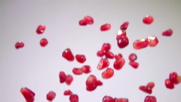 Red juicy grains of pomegranate are bouncing and falling on a white background — Stock Video
