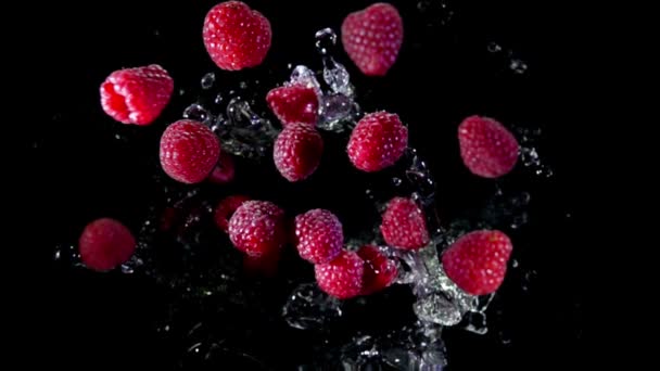 Świeże maliny latają z kroplami wody w bardzo zwolnionym tempie — Wideo stockowe