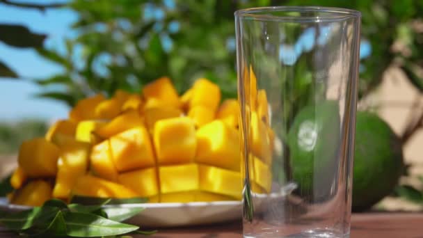 ゆっくりとした動きで大きな熟したマンゴーの横にガラスにマンゴージュースを注ぎます — ストック動画