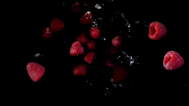 Червоні стиглі смачні малини підстрибують зі сплесками і краплями води — стокове відео