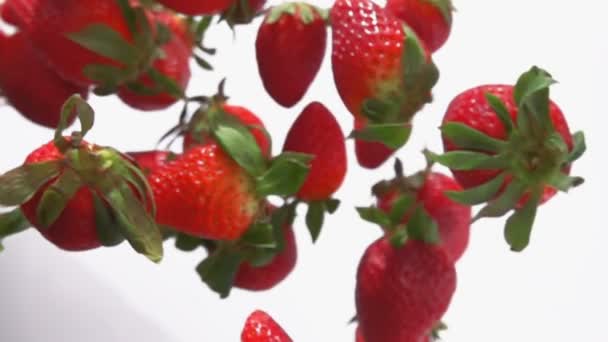 Red ripe delicious strawberries are flying and rotating on the white background — Stock Video