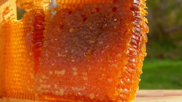 Part of the delicious fresh honeycombs is taken from the wooden frame — Stock Video