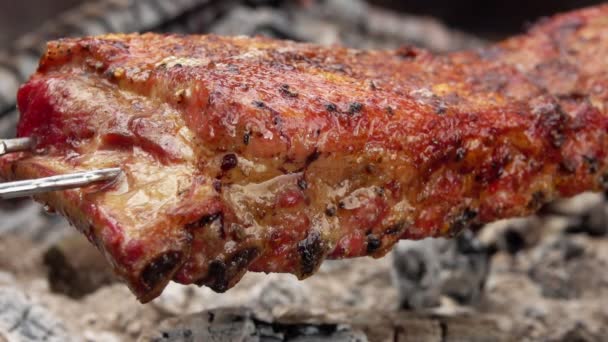 Delicious ribs on the skewers are roasting on the background of the open fire — Stock Video