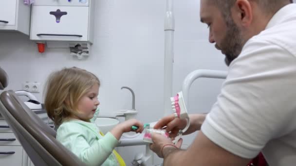 Blond holčička se učí, jak vyčistit zuby na plastové čelisti modelu — Stock video