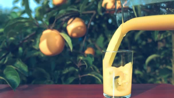 El jugo de naranja se vierte de una jarra en un vaso sobre un fondo de naranjas maduras en el árbol — Vídeos de Stock