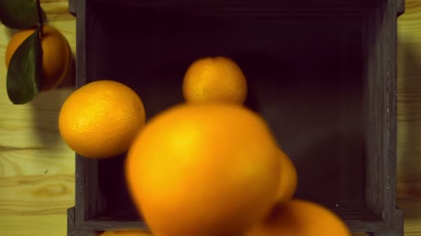 Las naranjas maduras caen en una caja. Cosecha . — Vídeo de stock