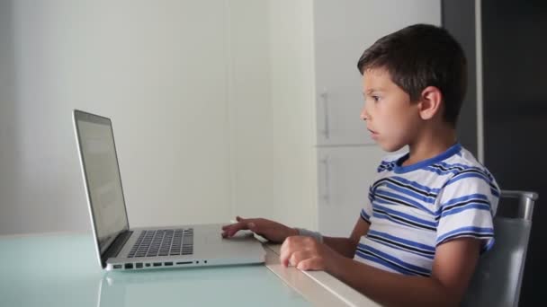 Jongen kijkt op een laptop — Stockvideo