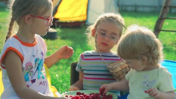 I bambini mangiano lamponi e mirtilli — Video Stock