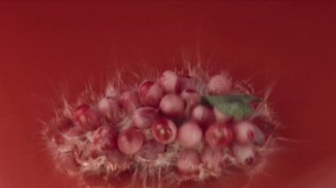 üzüm ıslak masanın üzerine düşüyor