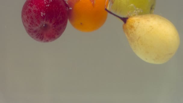 Fruits et eau — Video