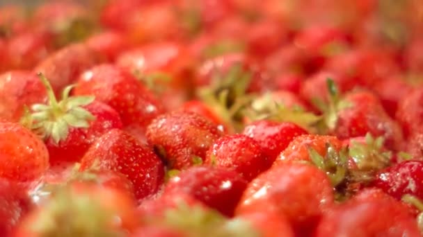 Gouttes d'eau tombant sur les fraises — Video