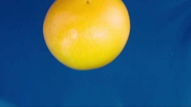 Toranja cai sobre a mesa molhada — Vídeo de Stock