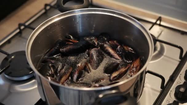 Cooking mussels with red wine and garlic — Stock Video