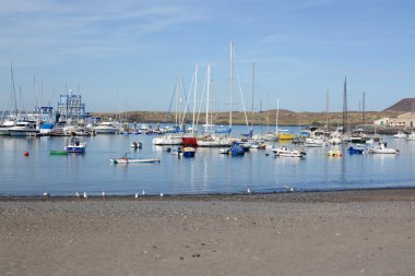 Las Galletas Harbour