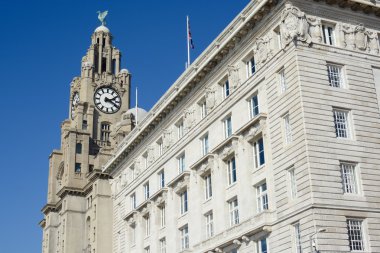 Kraliyet Karaciğer Binası