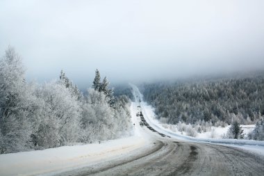 Ormanda kış yolu
