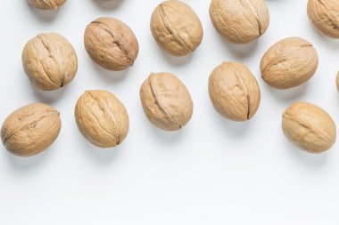 Ceviz, ceviz et, kurutulmuş meyve, fındık, fındık, gıda, incelik, kabuk, beyaz