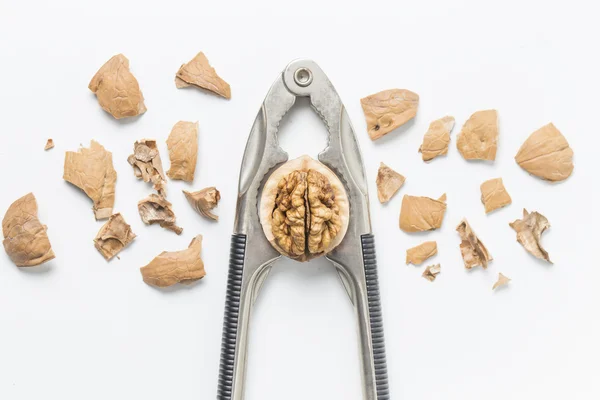 Nuez, carne de nuez, fruta seca, nueces, nueces, alimentos, delicadeza, cáscara blanca, roto . — Foto de Stock