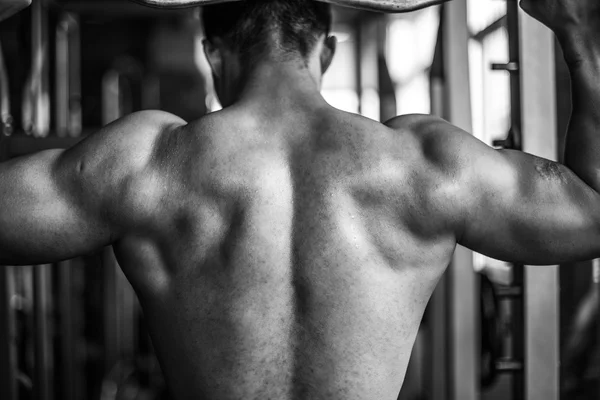 Hombre, músculo, Menzerna, gimnasio, fotografías en blanco y negro, fuerza, músculos de la espalda, pecho, mancuerna, disco — Foto de Stock