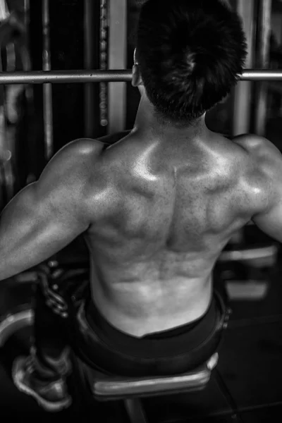 Hombre, músculo, Menzerna, gimnasio, fotografías en blanco y negro, fuerza, músculos de la espalda, pecho, mancuerna, disco — Foto de Stock