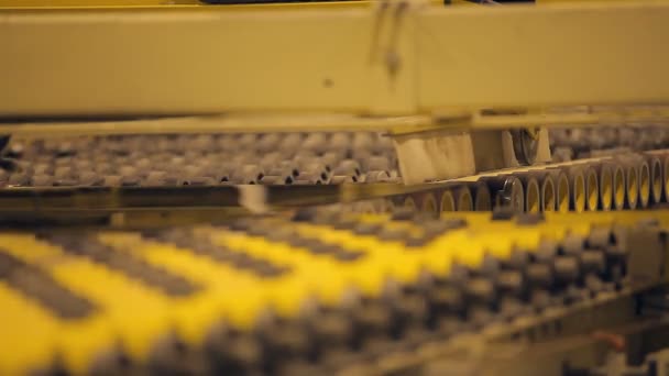Many rollers rolled products. Modern high-tech conveyor shifting production — Stock Video