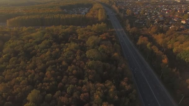 Aeronáutica bela floresta de outono e estrada — Vídeo de Stock