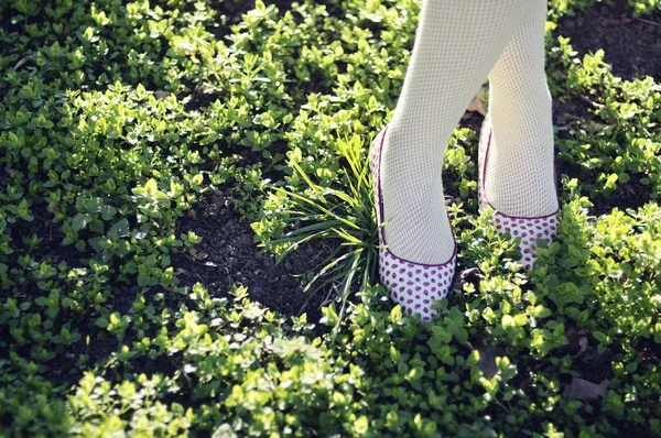 Vrouw voeten in leuke schoenen — Stockfoto
