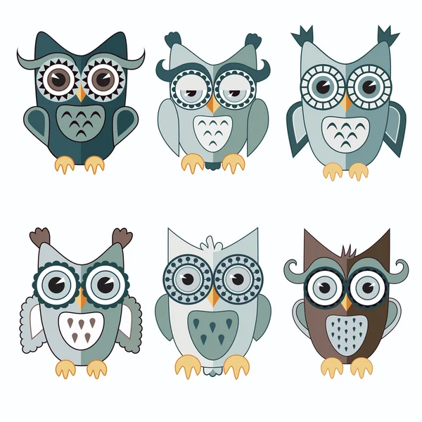 Gri şirin küçük baykuşlar