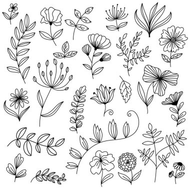 Büyük çiçek tasarımı elementleri karalama vektörü seti