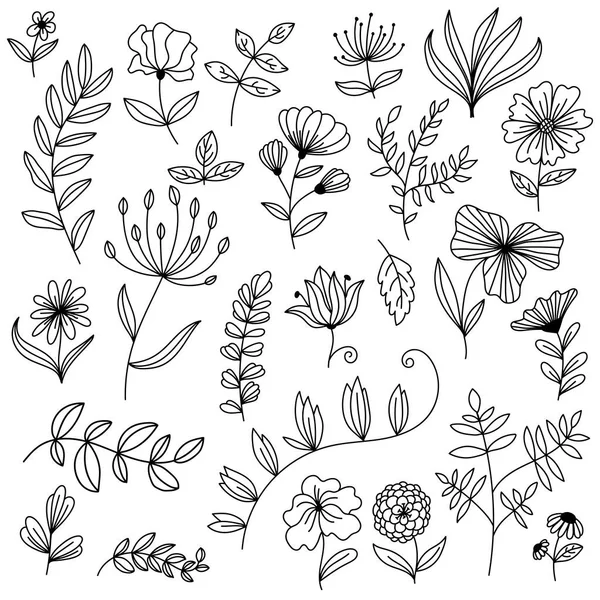 Grote bloemen ontwerp elementen doodle vector set — Stockvector