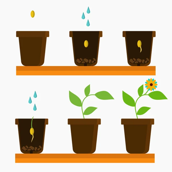 Cultivo de plantas ilustración — Vector de stock