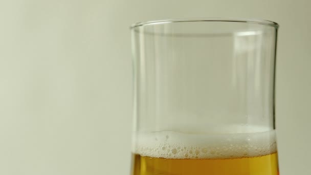 Vierta la cerveza en un vaso sobre fondo blanco — Vídeo de stock