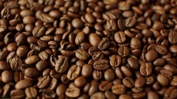 Rotazione dei chicchi di caffè torrefatto aromatici — Video Stock