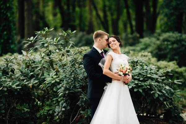 Elegantní stylový ženich objímá s jeho šťastnou nevěstu v parku — Stock fotografie