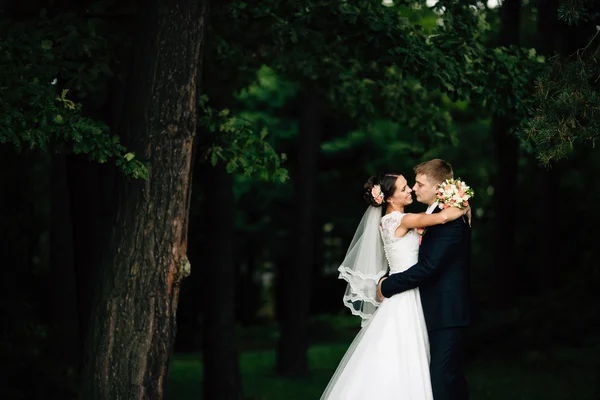 Elegante stijlvolle bruidegom omarmt met zijn gelukkige bruid in park — Stockfoto