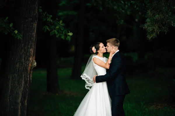 Elegáns, elegáns vőlegény átfogja a boldog menyasszony Park — Stock Fotó