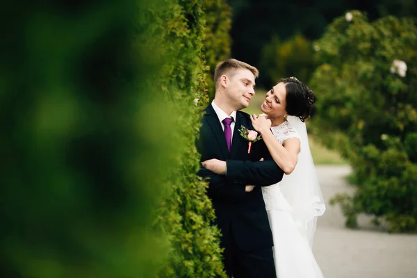 Элегантный стильный жених обнимается со своей счастливой невестой в парке — стоковое фото