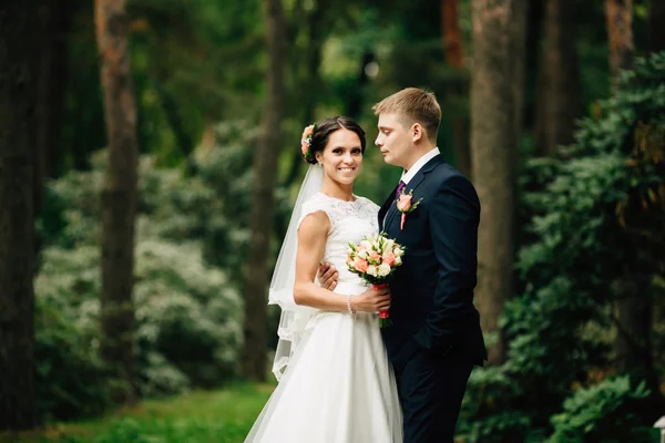 Όμορφη νύφη και γαμπρός περπάτημα σε εξωτερικούς χώρους σε πάρκο. Royalty Free Εικόνες Αρχείου