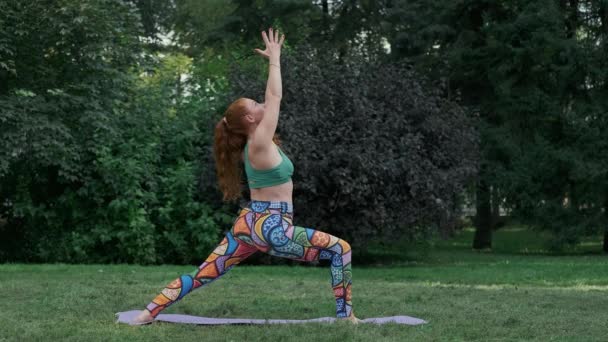 Sund ung kvinde, der praktiserer yoga i naturen. Kvindelige mediterer naturen udendørs. – Stock-video