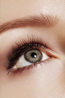 Klasik dumanlı makyaj ile kadın göz güzel makro çekim. Kaşlar, kahverengi kaptırdın ve uzun kirpiklerini mükemmel şekli. Kozmetik ve makyaj. Closeup makro moda dumanlı gözler sima vurdu