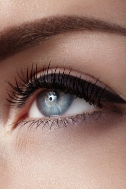 Klasik dumanlı makyaj ile kadın göz güzel makro çekim. Kaşlar, kahverengi kaptırdın ve uzun kirpiklerini mükemmel şekli. Kozmetik ve makyaj. Closeup makro moda dumanlı gözler sima vurdu