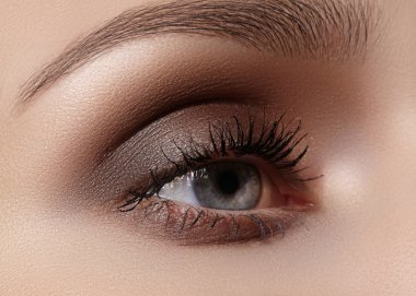 Klasik dumanlı makyaj ile kadın göz güzel makro çekim. Kaşlar, kahverengi kaptırdın ve uzun kirpiklerini mükemmel şekli. Kozmetik ve makyaj. Closeup makro moda dumanlı gözler sima vurdu