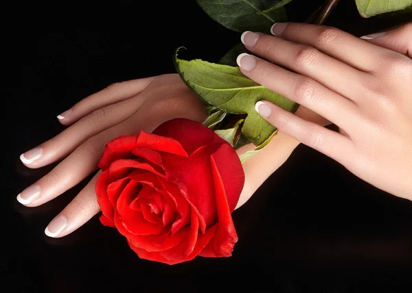 Beautiful female fingers with ideal french manicure touching red rose. Care about female hands, healthy soft skin. Spa & cosmetics. Beauty care. Close-up of beautiful famele fingers with nails polish