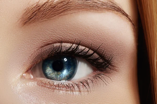 Belle photo macro de l'œil féminin bleu avec maquillage naturel. Forme parfaite de sourcils, fards à paupières marron et longs cils. Cosmétiques et maquillage. Gros plan macro de mode yeux fumés visage — Photo