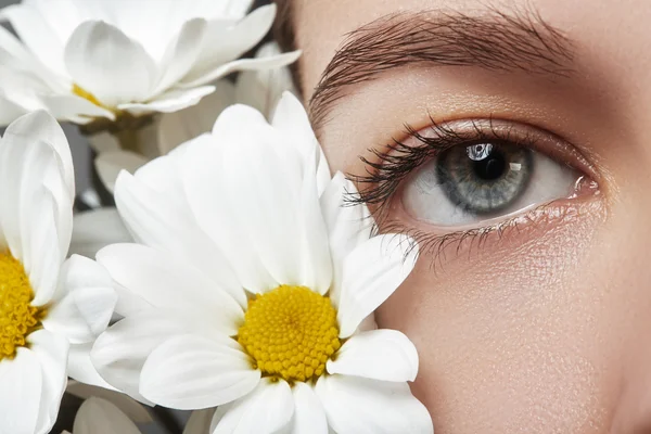 Detail makro krásné ženské oko s dokonalý tvar obočí. Čištění kůže, módní naturel make-up. Dobrý zrak. Přirozený vzhled na jaře s květy heřmánku — Stock fotografie