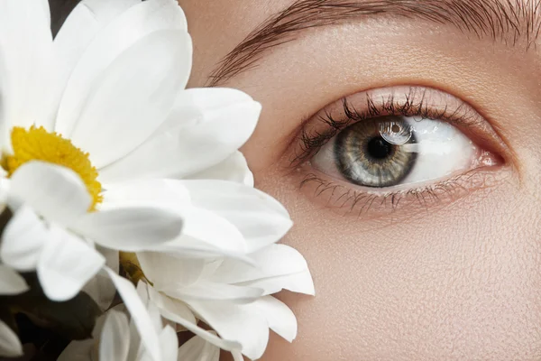 Macro de primer plano de hermoso ojo femenino con cejas de forma perfecta. Piel limpia, maquillaje natural de moda. Buena visión. Aspecto natural primavera con flores de manzanilla — Foto de Stock