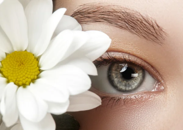 Detail makro krásné ženské oko s dokonalý tvar obočí. Čištění kůže, módní naturel make-up. Dobrý zrak. Přirozený vzhled na jaře s květy heřmánku — Stock fotografie