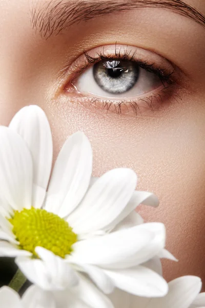 Nahaufnahme Makro eines schönen weiblichen Auges mit perfekt geformten Augenbrauen. saubere Haut, modisches Naturel-Make-up. Gute Sicht. Frühling natürliches Aussehen mit Kamillenblüten — Stockfoto