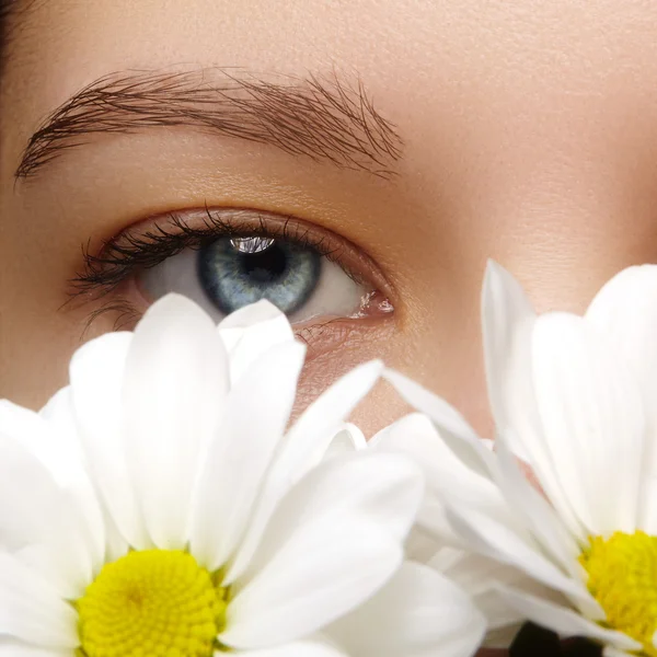 Nahaufnahme Makro eines schönen weiblichen Auges mit perfekt geformten Augenbrauen. saubere Haut, modisches Naturel-Make-up. Gute Sicht. Frühling natürliches Aussehen mit Kamillenblüten — Stockfoto