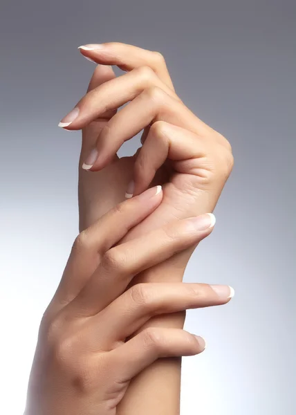 Vackra kvinnliga armar med perfekt fransk manikyr på grå bakgrund. Bryr sig om kvinnliga händer, frisk mjuk hud. Spa & kosmetika. Skönhetsvård. Närbild av vackra famele fingrar med naglar polska — Stockfoto